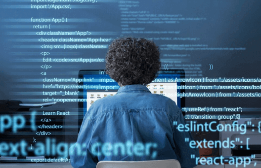 Pro-Code Extension Support